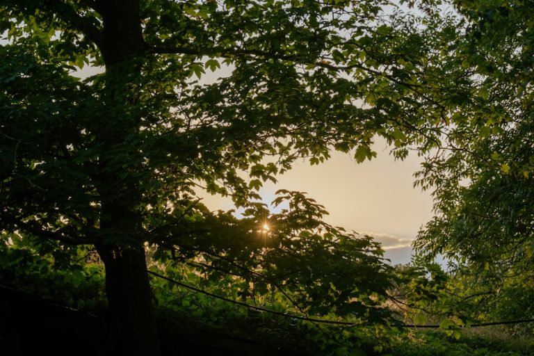 Unconventional Ways to Experience Outdoor Travel Like Never Before